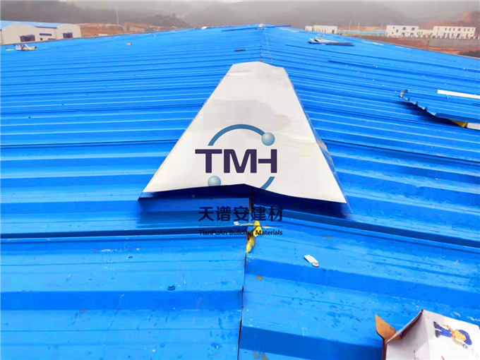 鋼結(jié)構(gòu) 鋼結(jié)構(gòu)